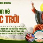 Chúa Nhật XVII Thường Niên – Năm A